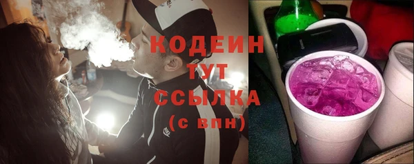 стаф Бородино