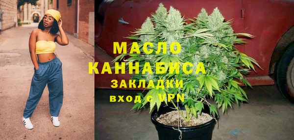 стаф Бородино